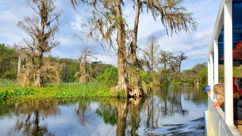 Tallahassee to Disney World drive: Stop to do wakulla springs state park boat tour. where to see alligators between tallahassee and Disney World. florida road trip travel blog
