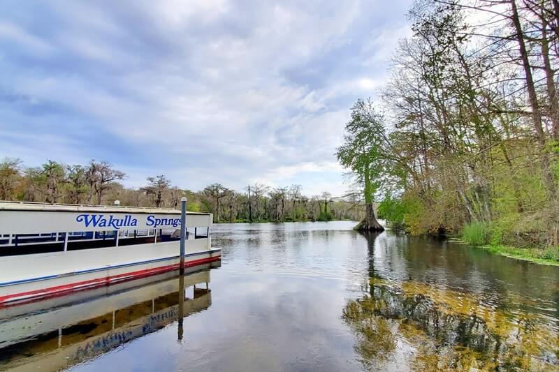 are there alligators in wakulla springs state park? wakulla river boat tour to see alligators near tallahassee FL. wakulla river alligators. florida travel blog