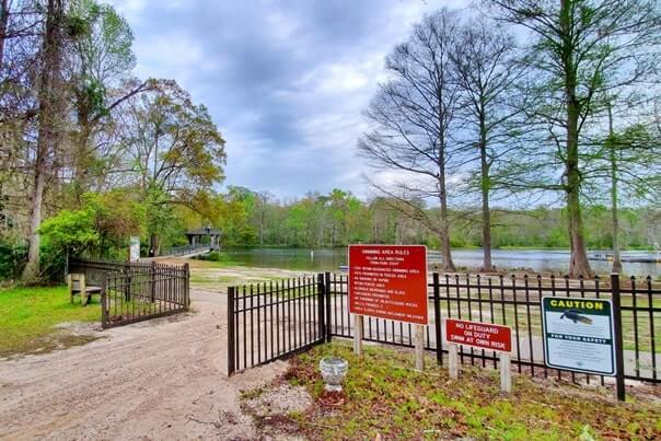 wakulla springs alligators: are there alligators in wakulla springs state park? florida travel blog