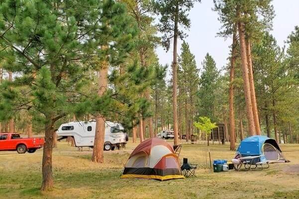 best custer state park campgrounds. custer state park camping. tent camping. rv camping. south dakota travel blog