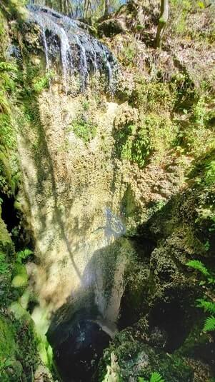 Destin to Disney World drive: Stop to see falling waters state park waterfalls. florida waterfalls between destin and Disney World. florida road trip travel blog