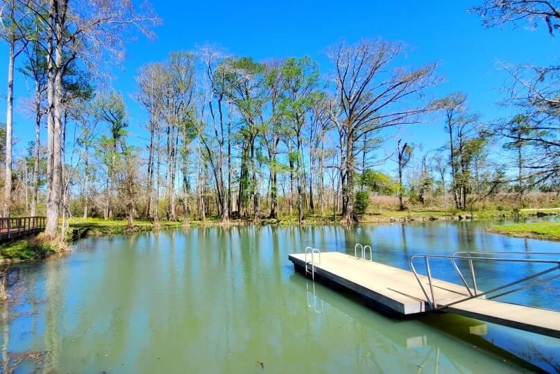 Destin to Disney World drive: Stop to see florida caverns state park springs. florida springs between destin and disney world. florida road trip travel blog
