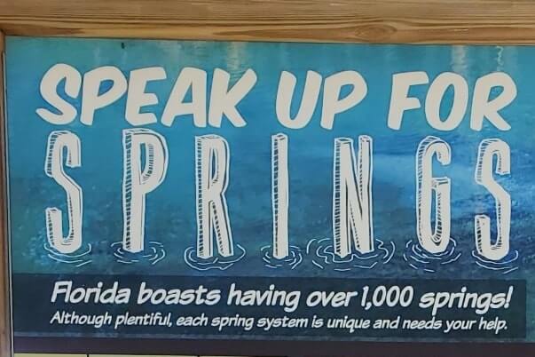 Destin to Disney World drive. Florida springs to see between destin and disney world. florida road trip travel blog