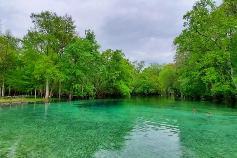 Destin to Disney World drive: Stop to see Gilchrist Blue Springs State Park. Florida springs between destin and disney world. florida road trip travel blog
