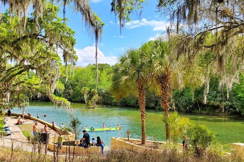 Destin to Disney World drive: stop to see ocala national forest springs. salt springs. national forests between destin and disney world. florida road trip travel blog