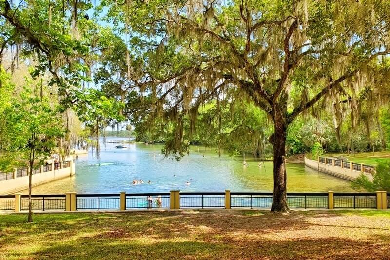 Destin to Disney World drive: stop to see ocala national forest springs. salt springs. national forests between destin and disney world. florida road trip travel blog