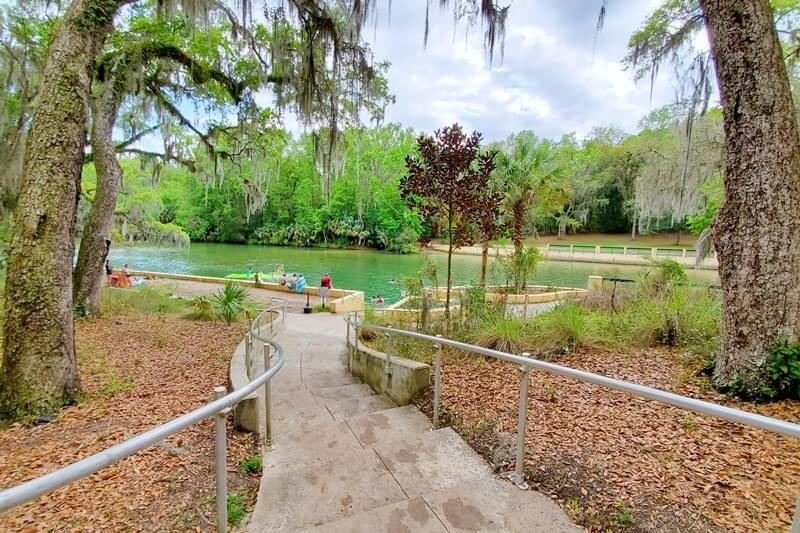Destin to Disney World drive: stop to see ocala national forest springs. salt springs. national forests between destin and disney world. florida road trip travel blog
