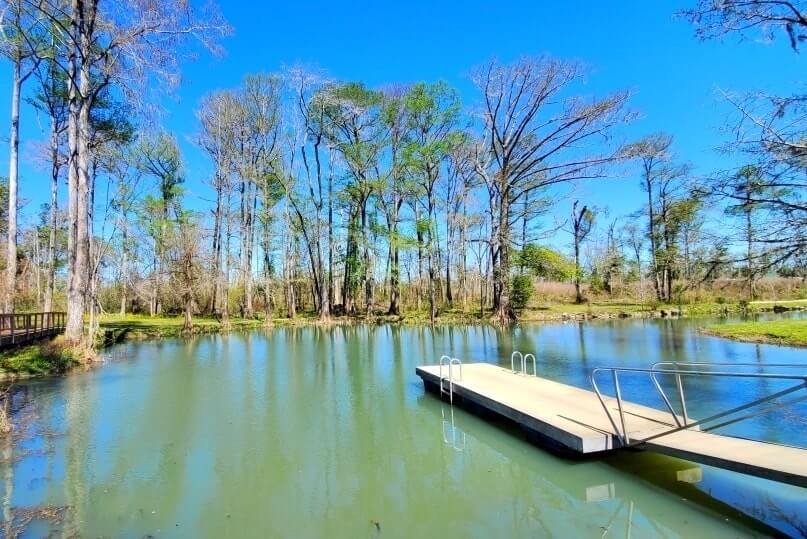 destin to tallahassee drive: Stop to see florida caverns state park springs. florida springs between destin and tallahassee. florida road trip travel blog