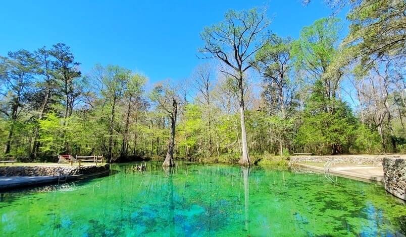Destin to Tallahassee drive: Stop to see Ponce de Leon Springs State Park. Florida springs between destin and tallahassee. florida road trip travel blog