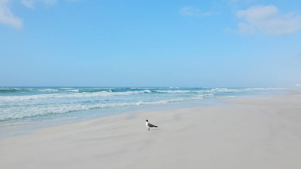 Henderson Beach State Park swimming. Best state park in Destin. Best beaches in Destin. Best Florida state park beaches. florida travel blog