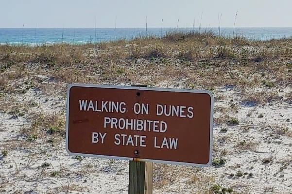 henderson beach state park dunes walking. florida travel blog