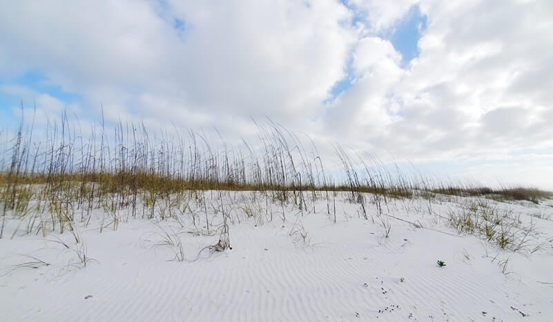 henderson beach state park dunes. sand dunes in destin. florida travel blog