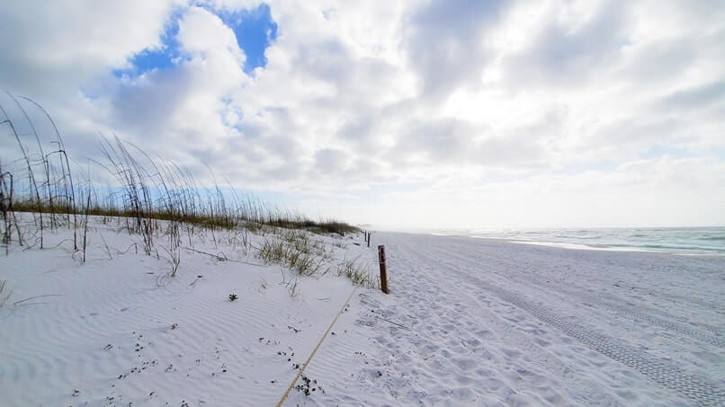 henderson beach state park dunes. sand dunes in destin. florida travel blog