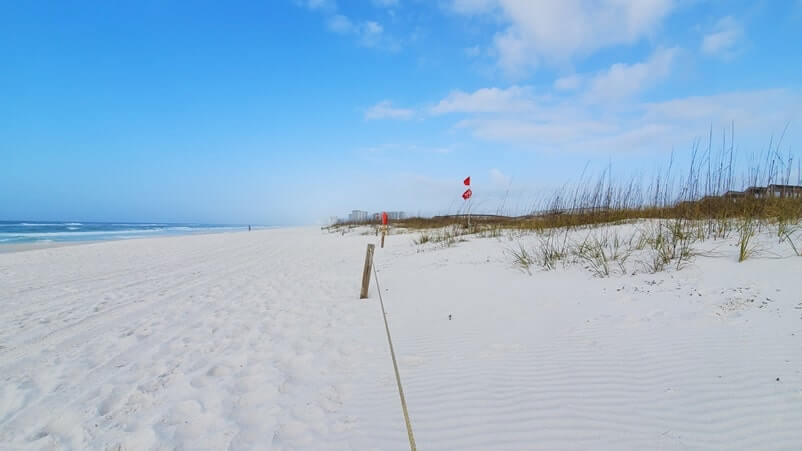 henderson beach state park dunes. sand dunes in destin. florida travel blog