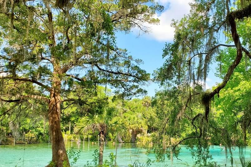 Best Ocala National Forest springs for swimming and snorkeling. Best things to do in Ocala National Forest. florida travel blog