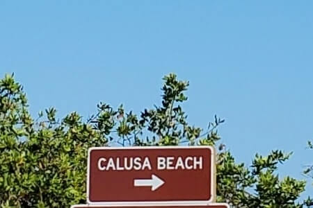 Bahia Honda beaches to calusa beach snorkeling. florida keys travel blog