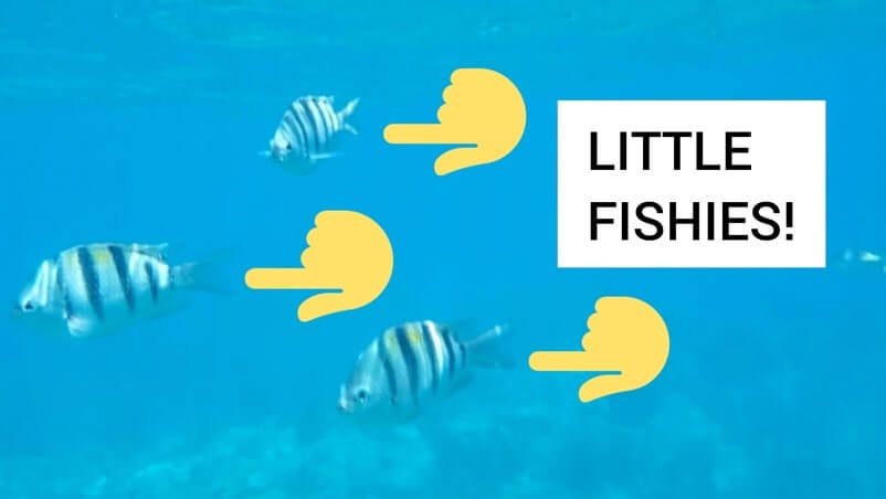 Marathon to Key West drive: marathon to looe key. best snorkeling between marathon and key west. florida keys travel blog