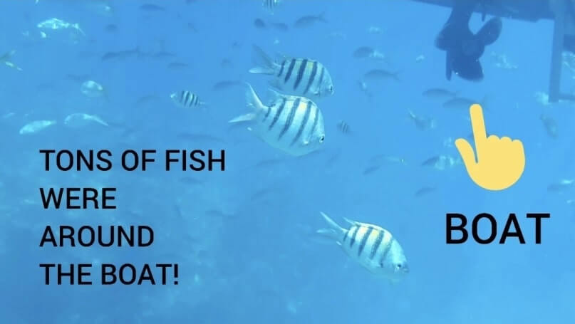 Marathon to Key West drive: marathon to looe key. best snorkeling between marathon and key west. florida keys travel blog