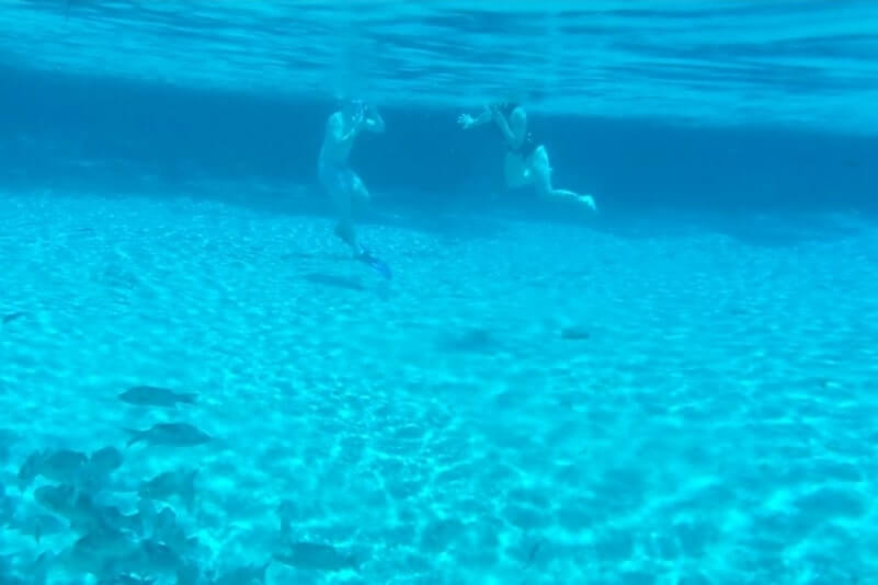 Swimming in Ocala National Forest springs: how deep is ocala national forest springs swimming area. best things to do in ocala national forest. florida travel blog