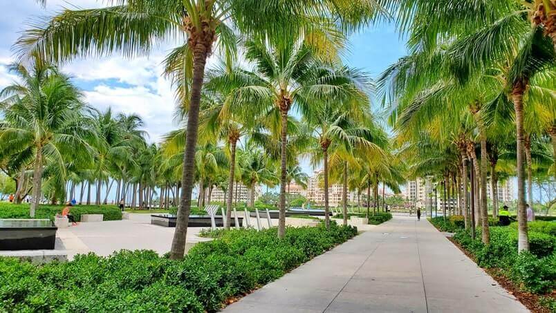 how to get to south pointe park. miami beach parking. florida travel blog