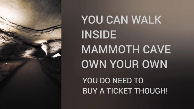 Things to do in Mammoth Cave National Park without a tour. Can you go inside mammoth cave without a tour? Can you do Mammoth Cave on your own? kentucky caves travel blog