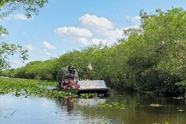 how to see alligators in everglades national park: everglades airboat tour. florida travel blog