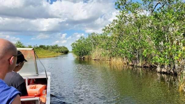 how to see alligators in everglades national park: everglades airboat tour. florida travel blog