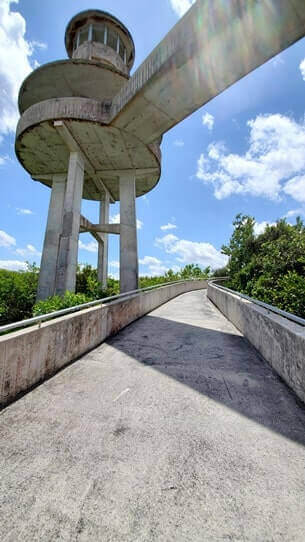 where to see alligators in everglades national park near shark valley observation tower. florida travel blog