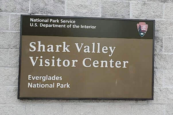 where to see alligators in everglades national park near shark valley visitor center. florida travel blog