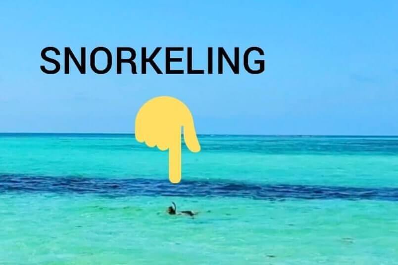 Bahia Honda State Park beach snorkeling. Loggerhead Beach. lower keys beach snorkeling. florida keys travel blog