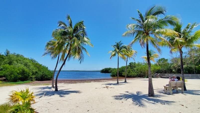 Best John Pennekamp State Park beaches. Best Key Largo beaches. john pennekamp coral reef state park beach. florida keys travel blog