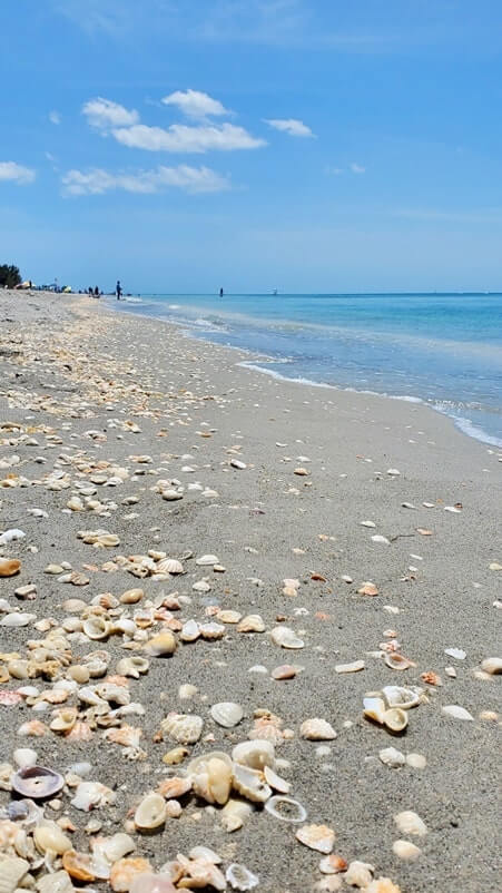 Captiva Island public beaches for shelling: Alison Hagerup Beach. north captiva. southwest florida travel blog