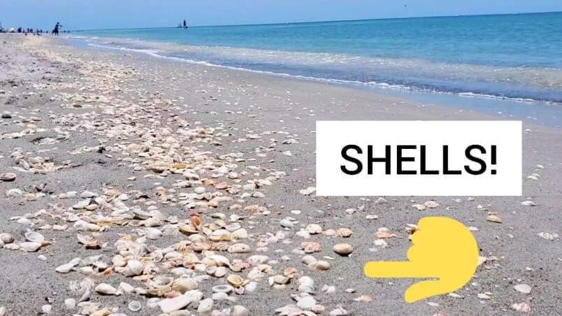 Captiva Island public beaches for shelling: Alison Hagerup Beach. southwest florida travel blog