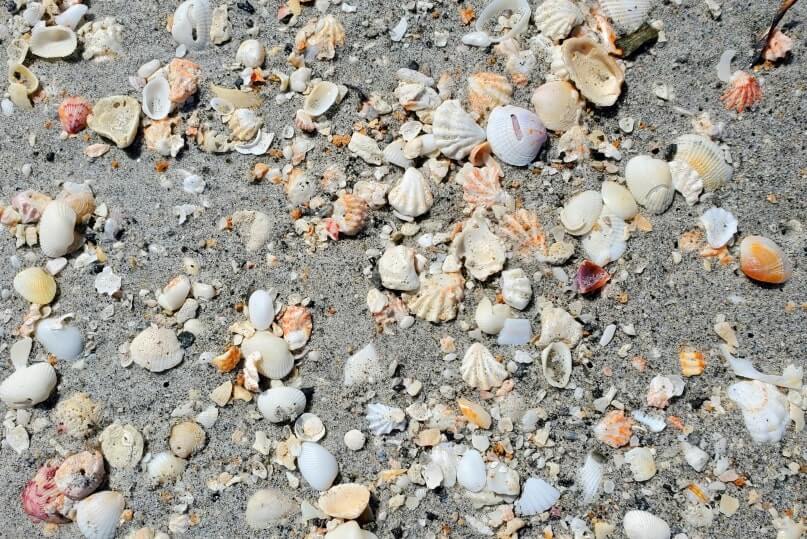 Captiva Island public beaches for shelling: Turner Beach. southwest florida travel blog