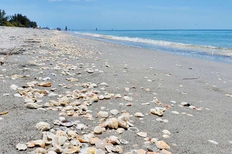 Captiva Island public beach: Alison Hagerup Beach. southwest florida travel blog
