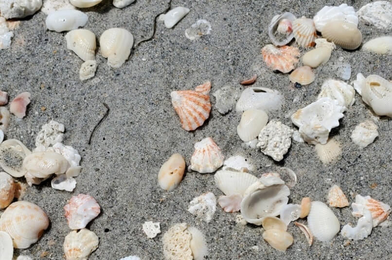 Captiva Island public beach: Alison Hagerup Beach. southwest florida travel blog