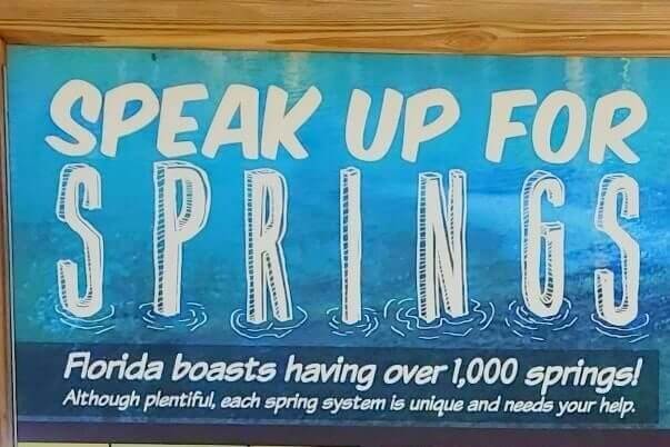 Florida Panhandle to Disney World drive. Florida springs to see between florida panhandle and disney world. florida road trip travel blog