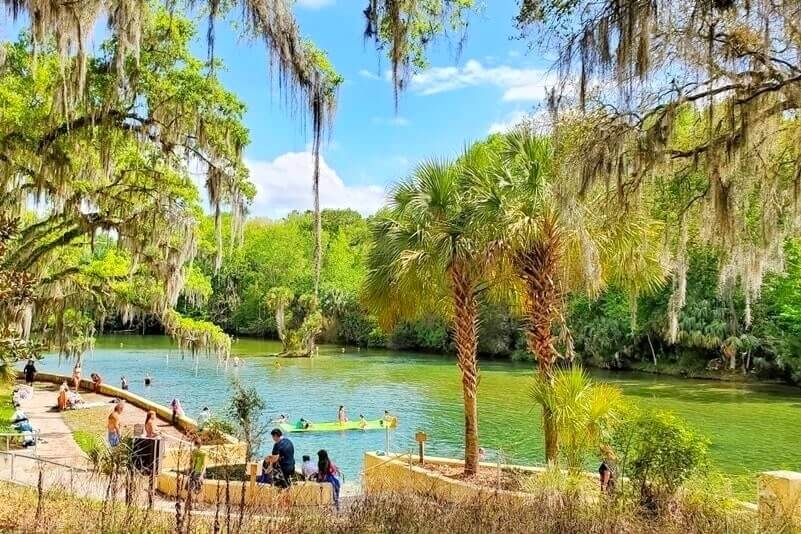 Florida Panhandle to Disney World drive: stop to see ocala national forest springs. salt springs. national forests between florida panhandle and disney world. florida road trip travel blog