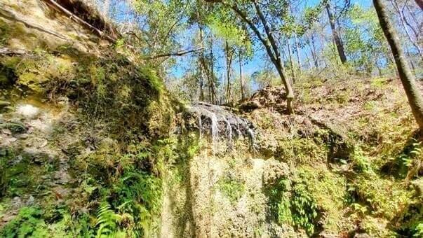 Florida Panhandle to Orlando drive: Stop to see falling waters state park waterfalls. florida waterfalls between florida panhandle and orlando. florida road trip travel blog