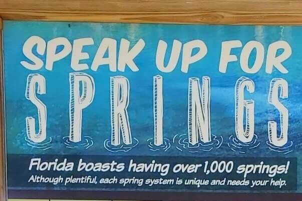 Florida Panhandle to Orlando drive. Florida springs to see between florida panhandle and orlando. florida road trip travel blog