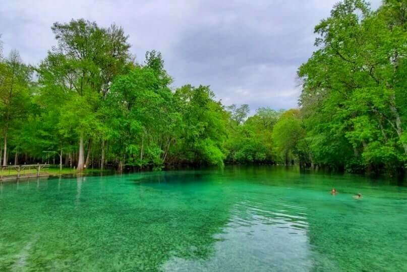 Florida Panhandle to Orlando drive: Stop to see Gilchrist Blue Springs State Park. Florida springs between florida panhandle and orlando. florida road trip travel blog