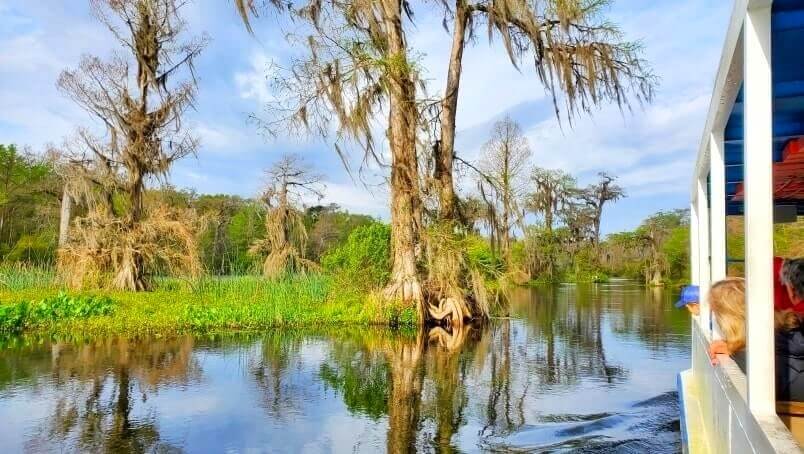 Florida Panhandle to Orlando drive: Stop to do wakulla springs state park boat tour. where to see alligators between florida panhandle and orlando. florida road trip travel blog