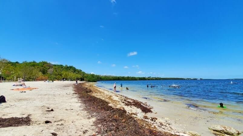 john pennekamp state park beach for swimming: cannon beach swimming area. key largo beach. florida keys travel blog
