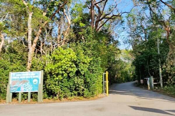 John Pennekamp State Park beach entry. Key Largo beach entry. florida keys travel blog