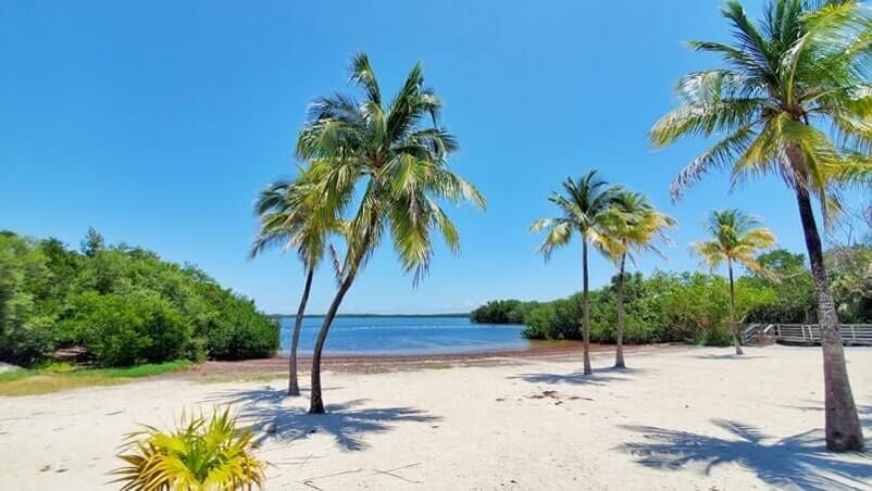 john pennekamp state park beach for swimming: far beach swimming area. key largo beach. florida keys travel blog