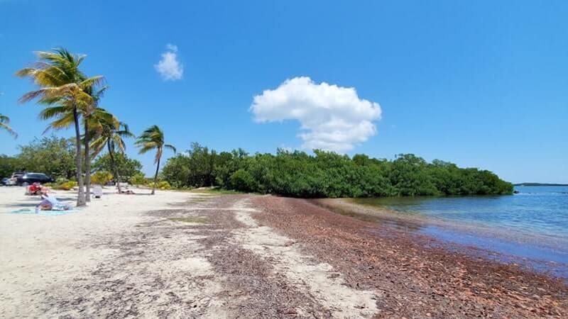 john pennekamp state park beach for swimming: far beach swimming area. key largo beach. florida keys travel blog