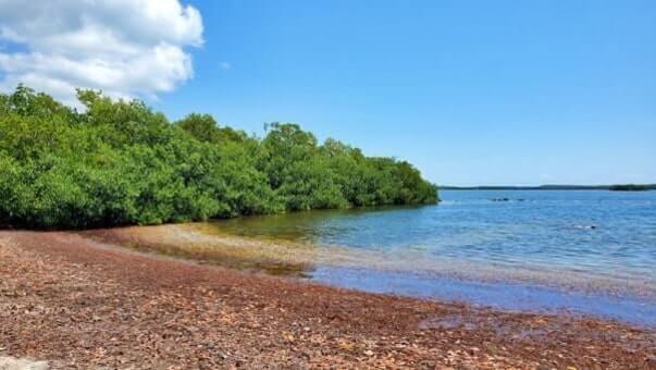john pennekamp state park beach for swimming: far beach swimming area. key largo beach. florida keys travel blog