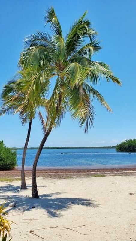 john pennekamp state park beach for swimming: far beach swimming area. key largo beach. florida keys travel blog