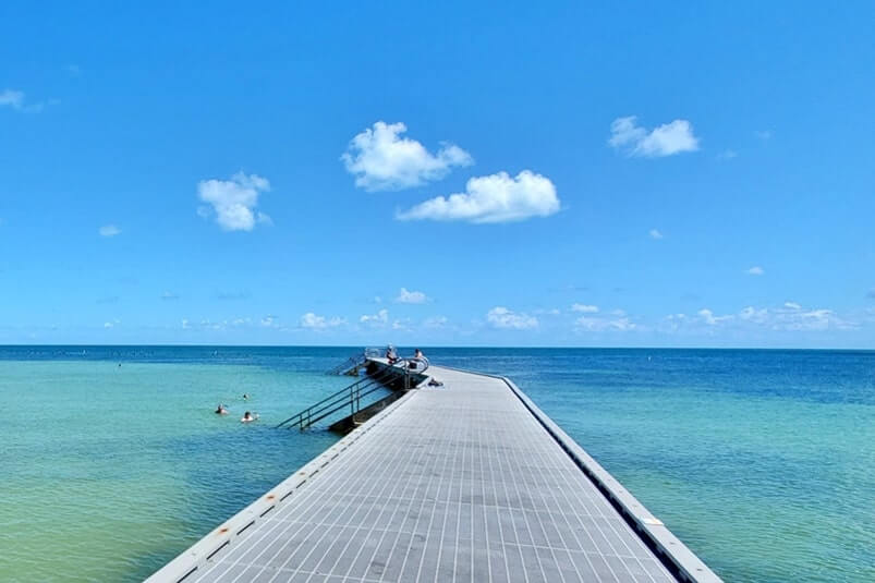 key west chickens at Higgs Beach pier. wild chicken in the florida keys. key west travel blog