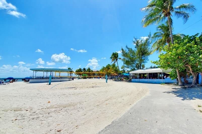 key west chickens at Higgs Beach. wild chicken in the florida keys. key west travel blog